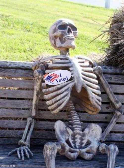 Enough said. | image tagged in memes,waiting skeleton,funny,voter fraud,joe biden,dead voters | made w/ Imgflip meme maker