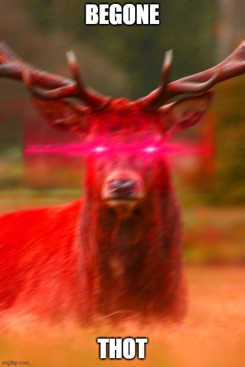 Deer Begone Thot | BEGONE THOT | image tagged in deer begone thot | made w/ Imgflip meme maker