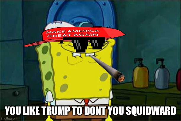 Don't You Squidward | YOU LIKE TRUMP TO DONT YOU SQUIDWARD | image tagged in memes,don't you squidward | made w/ Imgflip meme maker