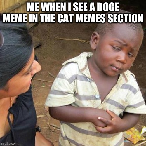 Third World Skeptical Kid | ME WHEN I SEE A DOGE MEME IN THE CAT MEMES SECTION | image tagged in memes,third world skeptical kid | made w/ Imgflip meme maker