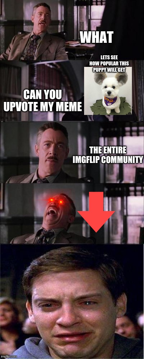 i hate memes like that | WHAT; LETS SEE HOW POPULAR THIS PUPPY WILL GET; CAN YOU UPVOTE MY MEME; THE ENTIRE IMGFLIP COMMUNITY | image tagged in memes,peter parker cry | made w/ Imgflip meme maker