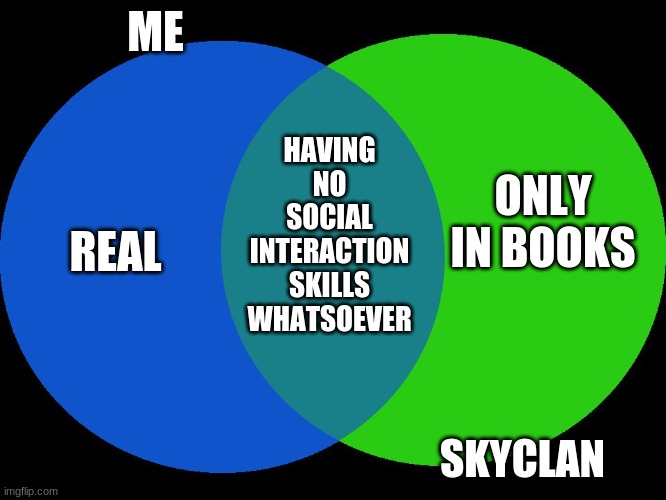 Venn Comparison |  ME; HAVING NO SOCIAL INTERACTION SKILLS WHATSOEVER; ONLY IN BOOKS; REAL; SKYCLAN | image tagged in venn comparison | made w/ Imgflip meme maker