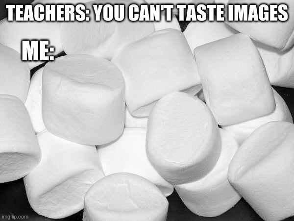 Marshmallow | TEACHERS: YOU CAN'T TASTE IMAGES; ME: | image tagged in marshmallow | made w/ Imgflip meme maker