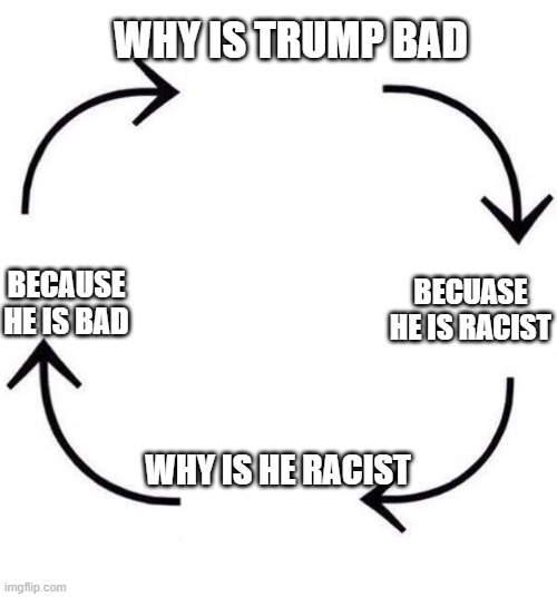 the circle of life | WHY IS TRUMP BAD; BECAUSE HE IS BAD; BECUASE HE IS RACIST; WHY IS HE RACIST | image tagged in the circle of life | made w/ Imgflip meme maker