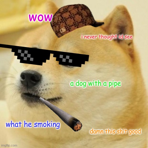 Doge | wow; i never thought id see; a dog with a pipe; what he smoking; damn this shit good | image tagged in memes,doge | made w/ Imgflip meme maker