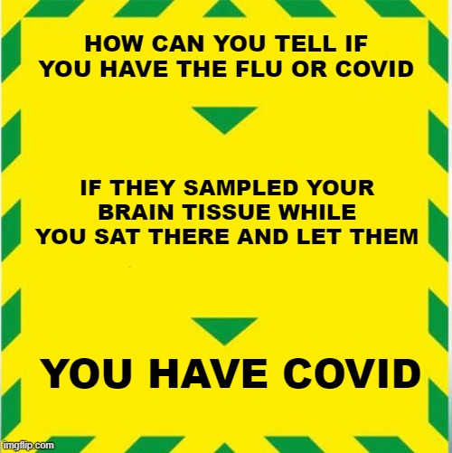 UK Covid Slogan | HOW CAN YOU TELL IF YOU HAVE THE FLU OR COVID; IF THEY SAMPLED YOUR BRAIN TISSUE WHILE YOU SAT THERE AND LET THEM; YOU HAVE COVID | image tagged in uk covid slogan | made w/ Imgflip meme maker