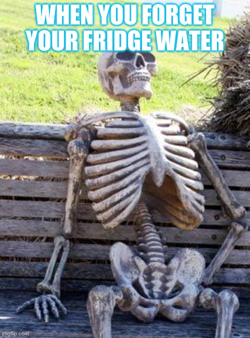 Waiting Skeleton Meme | WHEN YOU FORGET YOUR FRIDGE WATER | image tagged in memes,waiting skeleton | made w/ Imgflip meme maker