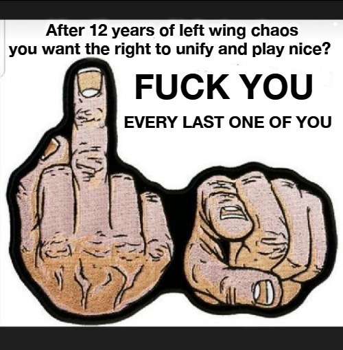After 12 years of left wing chaos you want the right to unify and play nice? | image tagged in fuck you liberals,fuck your feelings | made w/ Imgflip meme maker