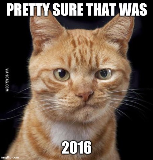 Doubting Cat | PRETTY SURE THAT WAS 2016 | image tagged in doubting cat | made w/ Imgflip meme maker