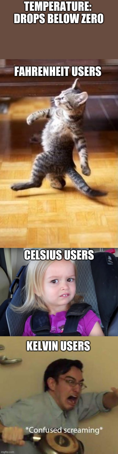 TEMPERATURE: 
DROPS BELOW ZERO; FAHRENHEIT USERS; CELSIUS USERS; KELVIN USERS | image tagged in memes,cool cat stroll,huh,confused screaming | made w/ Imgflip meme maker