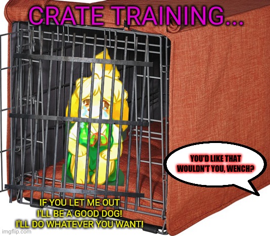 Evil mayor trains Isabelle | CRATE TRAINING... YOU'D LIKE THAT WOULDN'T YOU, WENCH? IF YOU LET ME OUT I'LL BE A GOOD DOG! I'LL DO WHATEVER YOU WANT! | image tagged in isabelle animal crossing announcement,animal crossing,evil,mayor,cage,crate training | made w/ Imgflip meme maker