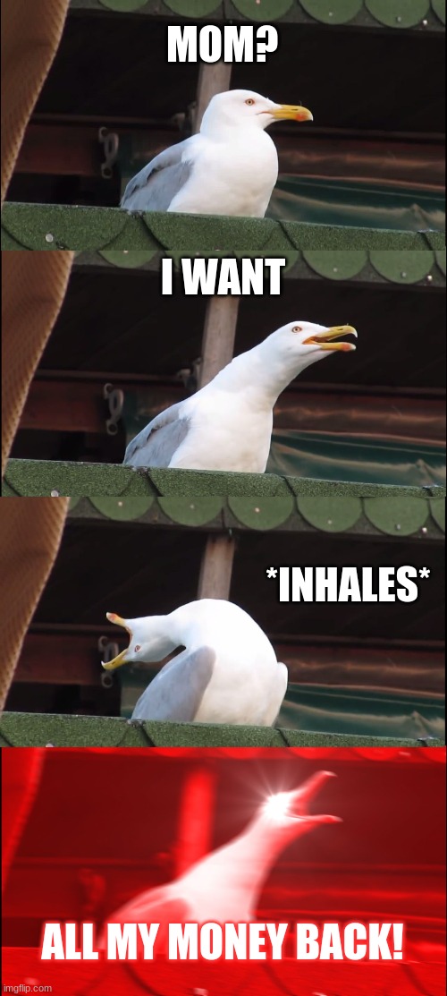 Inhaling Seagull | MOM? I WANT; *INHALES*; ALL MY MONEY BACK! | image tagged in memes,inhaling seagull | made w/ Imgflip meme maker