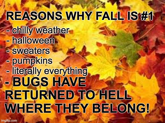 fall leaves golden | REASONS WHY FALL IS #1; - chilly weather
- halloween
- sweaters
- pumpkins
- literally everything; - BUGS HAVE RETURNED TO HELL
WHERE THEY BELONG! | image tagged in fall leaves golden | made w/ Imgflip meme maker