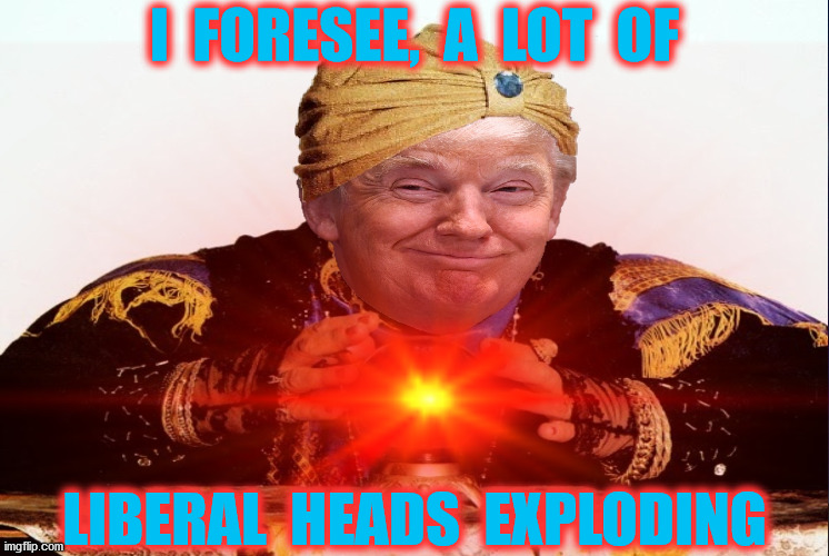 Donald Trump Foresees | I  FORESEE,  A  LOT  OF; LIBERAL  HEADS  EXPLODING | image tagged in psychic with crystal ball,memes,donald trump,liberal tears,2020 elections,no no he's got a point | made w/ Imgflip meme maker