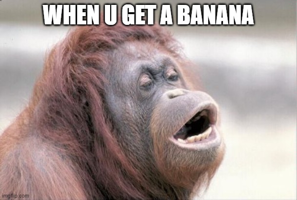 unfunny'nt | WHEN U GET A BANANA | image tagged in memes,monkey ooh | made w/ Imgflip meme maker