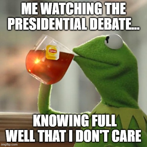 But That's None Of My Business | ME WATCHING THE PRESIDENTIAL DEBATE... KNOWING FULL WELL THAT I DON'T CARE | image tagged in memes,but that's none of my business,kermit the frog | made w/ Imgflip meme maker
