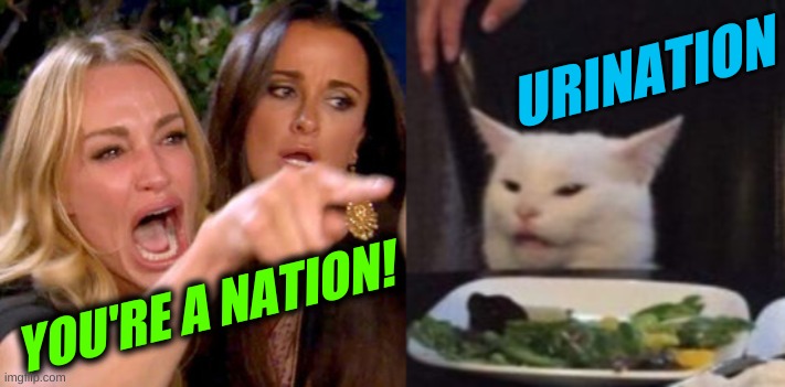 woman yelling at cat cropped | URINATION; YOU'RE A NATION! | image tagged in woman yelling at cat cropped,urinal,imagination,puns | made w/ Imgflip meme maker