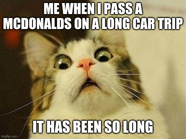 Scared Cat | ME WHEN I PASS A MCDONALDS ON A LONG CAR TRIP; IT HAS BEEN SO LONG | image tagged in memes,scared cat | made w/ Imgflip meme maker