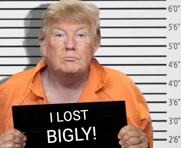 Trump lost BIGLY! | BIGLY! I LOST | image tagged in trump loser,election 2020,trump 2020,donald trump,trump meme,funny memes | made w/ Imgflip meme maker
