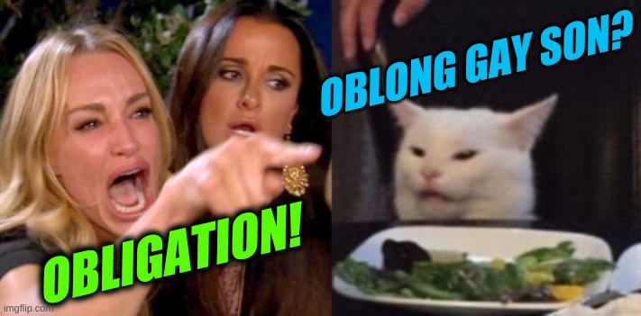 woman yelling at cat cropped | OBLONG GAY SON? OBLIGATION! | image tagged in woman yelling at cat cropped,engrish,obligation,oblong gay son,misspelled | made w/ Imgflip meme maker