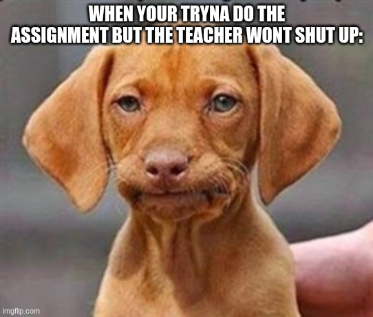 *demonic screeching* | WHEN YOUR TRYNA DO THE ASSIGNMENT BUT THE TEACHER WONT SHUT UP: | image tagged in frustrated dog | made w/ Imgflip meme maker