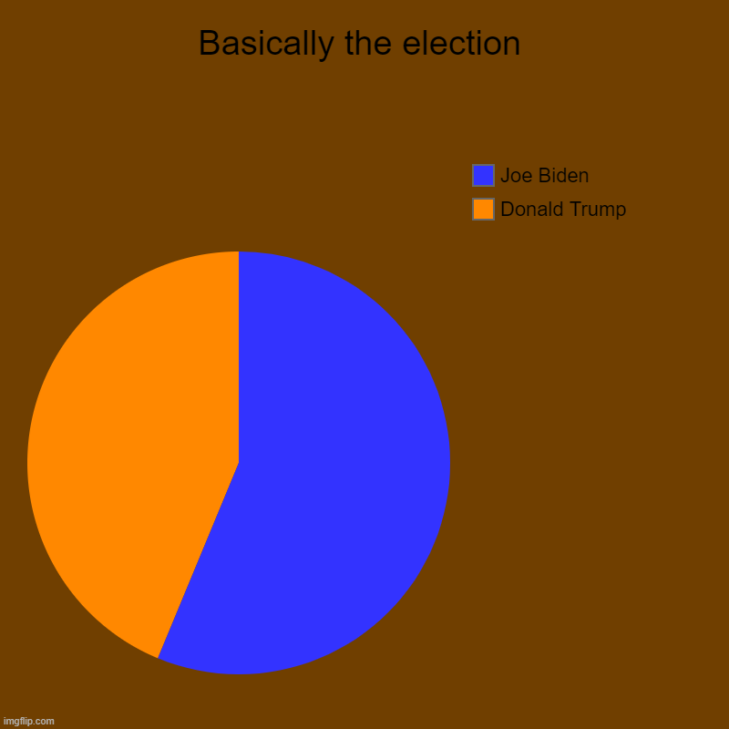 Basically the election | Donald Trump, Joe Biden | image tagged in charts,pie charts | made w/ Imgflip chart maker