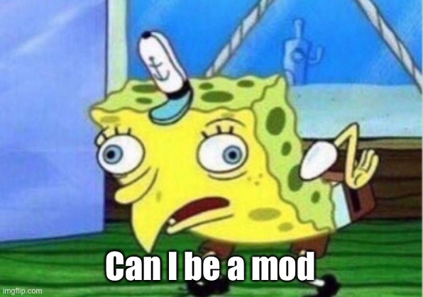 Mod | Can I be a mod | image tagged in memes,mocking spongebob | made w/ Imgflip meme maker