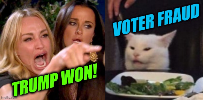 woman yelling at cat cropped | VOTER FRAUD; TRUMP WON! | image tagged in woman yelling at cat cropped,voter fraud,election 2020,trump lost | made w/ Imgflip meme maker