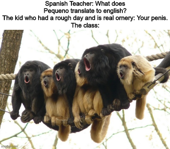 Howler Monkeys | Spanish Teacher: What does Pequeno translate to english?
The kid who had a rough day and is real ornery: Your penis.
The class: | image tagged in howler monkeys,memes,funny memes | made w/ Imgflip meme maker