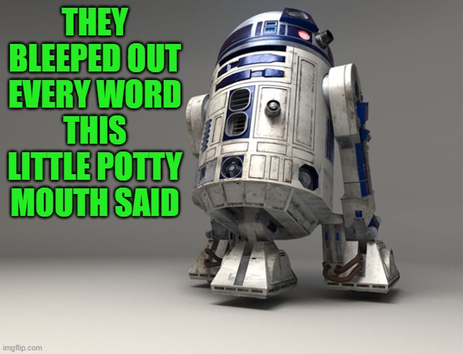 r2d2 | THEY BLEEPED OUT EVERY WORD THIS LITTLE POTTY MOUTH SAID | image tagged in r2d2,bleep | made w/ Imgflip meme maker