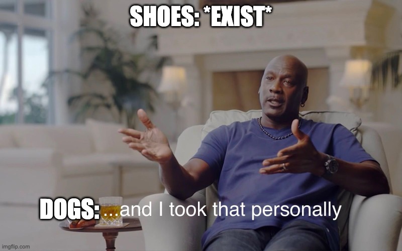 and I took that personally | SHOES: *EXIST*; DOGS: | image tagged in and i took that personally | made w/ Imgflip meme maker