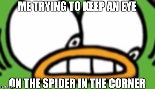 spider in the corner | ME TRYING TO KEEP AN EYE; ON THE SPIDER IN THE CORNER | image tagged in spider,funny memes,memes | made w/ Imgflip meme maker