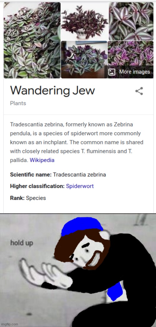 Wandering Jew | image tagged in fallout hold up,jew,jewish,wandering jew,google chrome | made w/ Imgflip meme maker