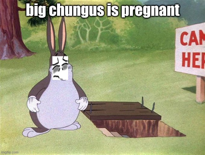 oh my god | big chungus is pregnant | image tagged in pregnant | made w/ Imgflip meme maker