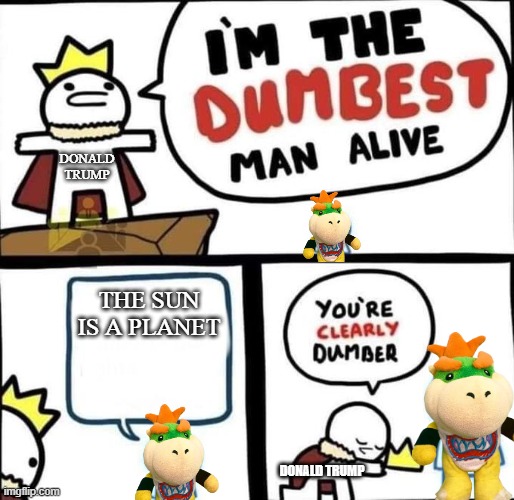 Bowser jr explaining what type of matter is the sun be like | DONALD TRUMP; THE SUN IS A PLANET; DONALD TRUMP | image tagged in i am the dumbest man alive,sml | made w/ Imgflip meme maker