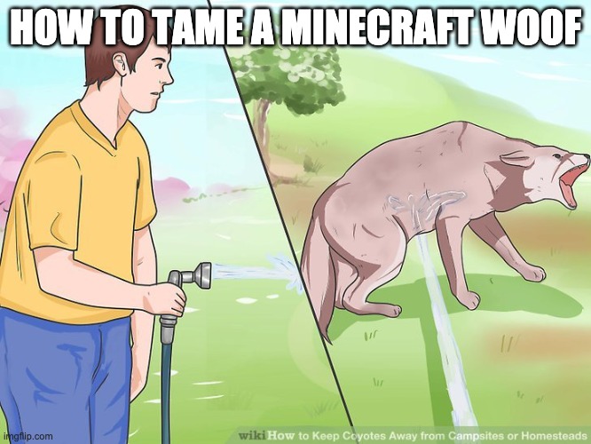 WikiHow Spraying the Dog | HOW TO TAME A MINECRAFT WOOF | image tagged in wikihow spraying the dog | made w/ Imgflip meme maker
