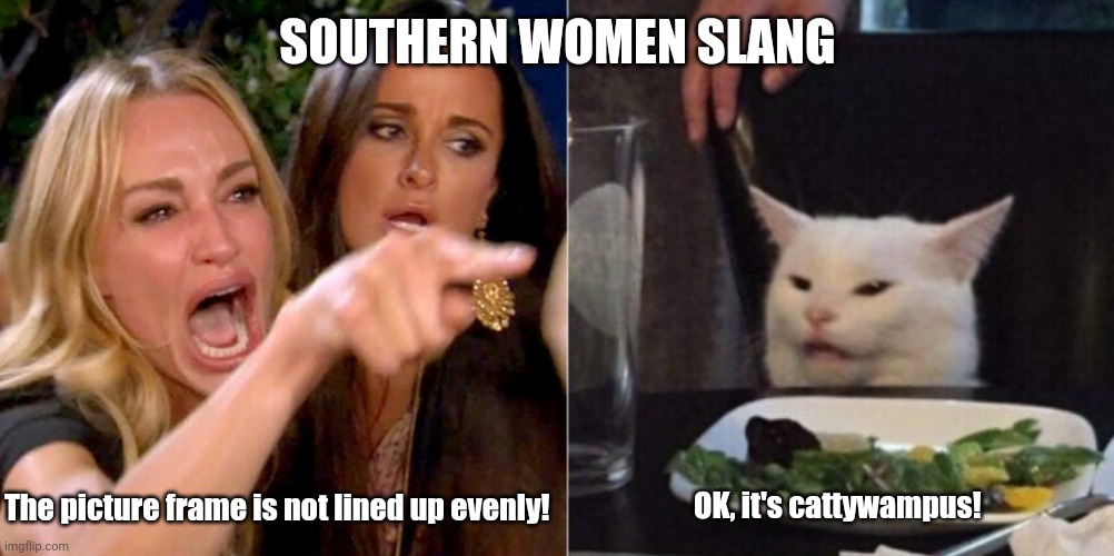 Cattywampus | SOUTHERN WOMEN SLANG; OK, it's cattywampus! The picture frame is not lined up evenly! | image tagged in funny,funny memes | made w/ Imgflip meme maker