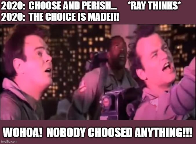 2020:  CHOOSE AND PERISH...      *RAY THINKS*
2020:  THE CHOICE IS MADE!!! WOHOA!  NOBODY CHOOSED ANYTHING!!! | made w/ Imgflip meme maker