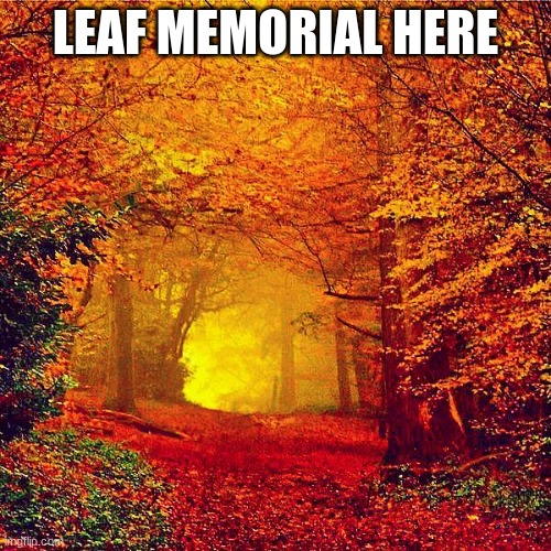 Helo ._. | LEAF MEMORIAL HERE | image tagged in autumn walk | made w/ Imgflip meme maker