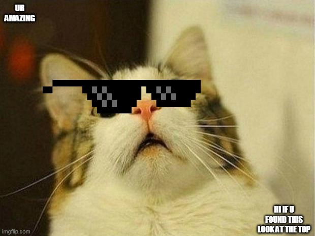 suprised cat with sunglasses | UR AMAZING; HI IF U FOUND THIS LOOK AT THE TOP | image tagged in memes,scared cat | made w/ Imgflip meme maker
