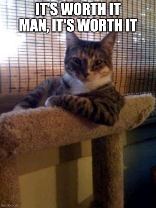 The Most Interesting Cat In The World Meme | IT'S WORTH IT MAN, IT'S WORTH IT | image tagged in memes,the most interesting cat in the world | made w/ Imgflip meme maker