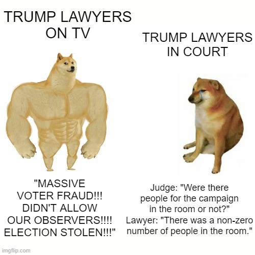 Buff Doge vs. Cheems Meme | TRUMP LAWYERS
ON TV; TRUMP LAWYERS
IN COURT; Judge: "Were there people for the campaign in the room or not?"
Lawyer: "There was a non-zero number of people in the room."; "MASSIVE
VOTER FRAUD!!!
DIDN'T ALLOW
OUR OBSERVERS!!!!
ELECTION STOLEN!!!" | image tagged in memes,buff doge vs cheems,donald trump,lawyers | made w/ Imgflip meme maker
