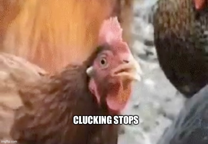 Chicken stops | CLUCKING STOPS | image tagged in memes,reactions,anti joke chicken | made w/ Imgflip meme maker