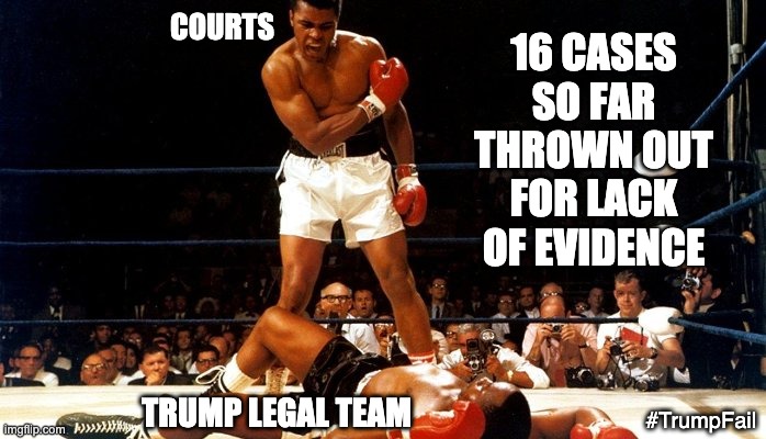 A loser in the election, and a loser in the courts | 16 CASES SO FAR THROWN OUT FOR LACK OF EVIDENCE; COURTS; TRUMP LEGAL TEAM; #TrumpFail | image tagged in knock out ali,trump,election,voter fraud,loser,failure | made w/ Imgflip meme maker