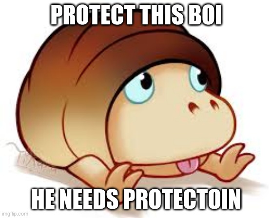 bread bug | PROTECT THIS BOI; HE NEEDS PROTECTION | image tagged in bread bug | made w/ Imgflip meme maker