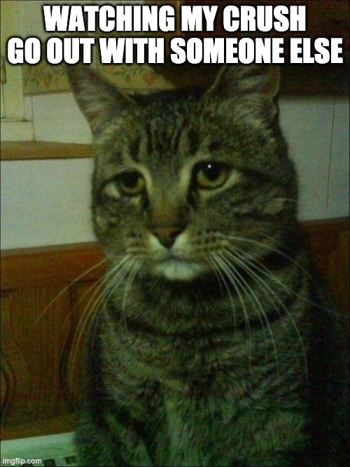 Sad CAT | WATCHING MY CRUSH GO OUT WITH SOMEONE ELSE | image tagged in memes,depressed cat,cat,sad,crush | made w/ Imgflip meme maker