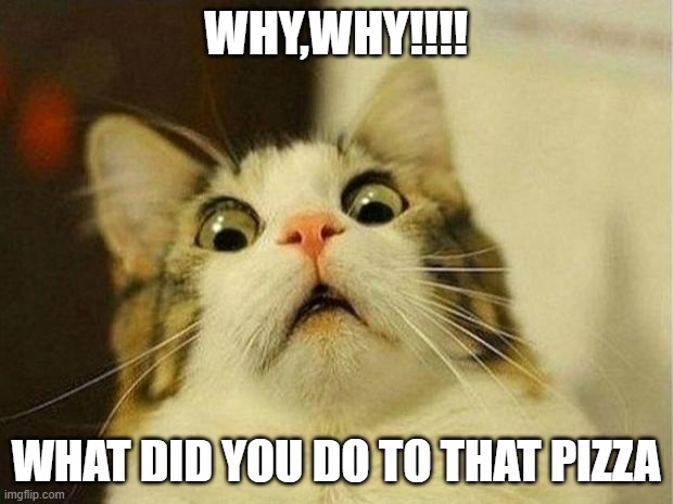 Scared Cat | WHY,WHY!!!! WHAT DID YOU DO TO THAT PIZZA | image tagged in memes,scared cat | made w/ Imgflip meme maker