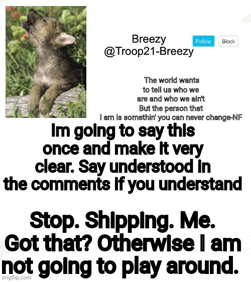 Brave, shoto, and halfwhit mainly. But everyone better say understood. | Im going to say this once and make it very clear. Say understood in the comments if you understand; Stop. Shipping. Me. Got that? Otherwise I am not going to play around. | image tagged in trooper21-breezy template | made w/ Imgflip meme maker