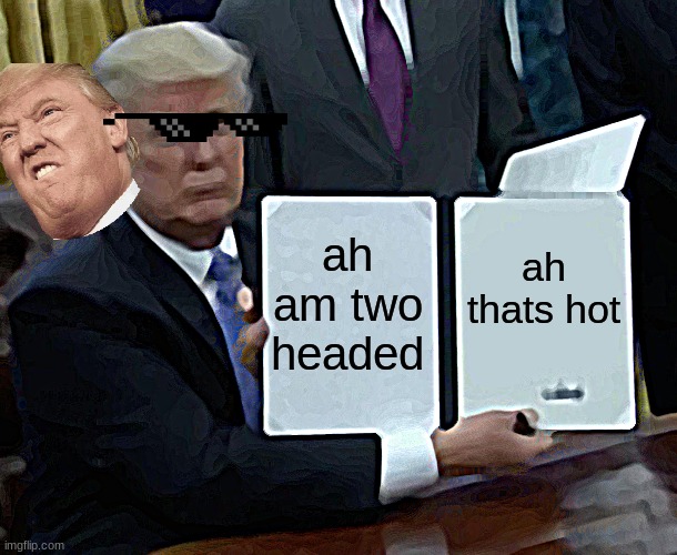 ahhhh thats hot(not relley) | ah am two headed; ah thats hot | image tagged in memes,trump bill signing | made w/ Imgflip meme maker
