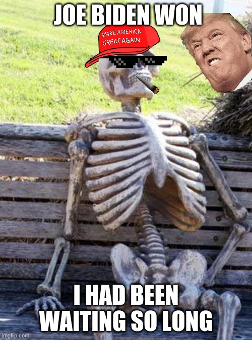 Waiting Skeleton | JOE BIDEN WON; I HAD BEEN WAITING SO LONG | image tagged in memes,waiting skeleton | made w/ Imgflip meme maker